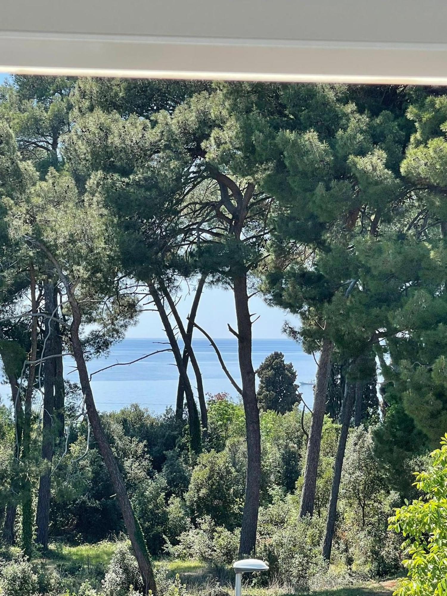 Robi Rovinj Exterior foto